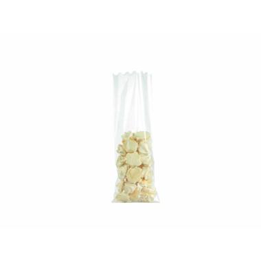 BUSTA F.QUADRO TRASP.100pz 6x20 US010TN