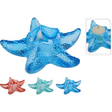 P.candela stella marina 13cm hc5000390