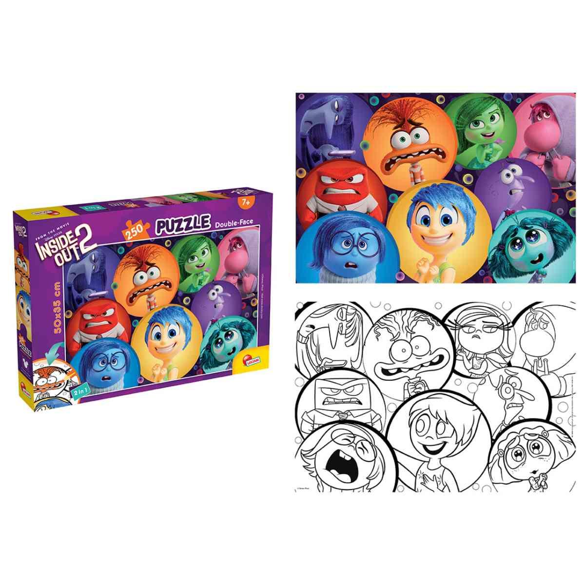 Puzzle 250pz df plus inside out2 109807