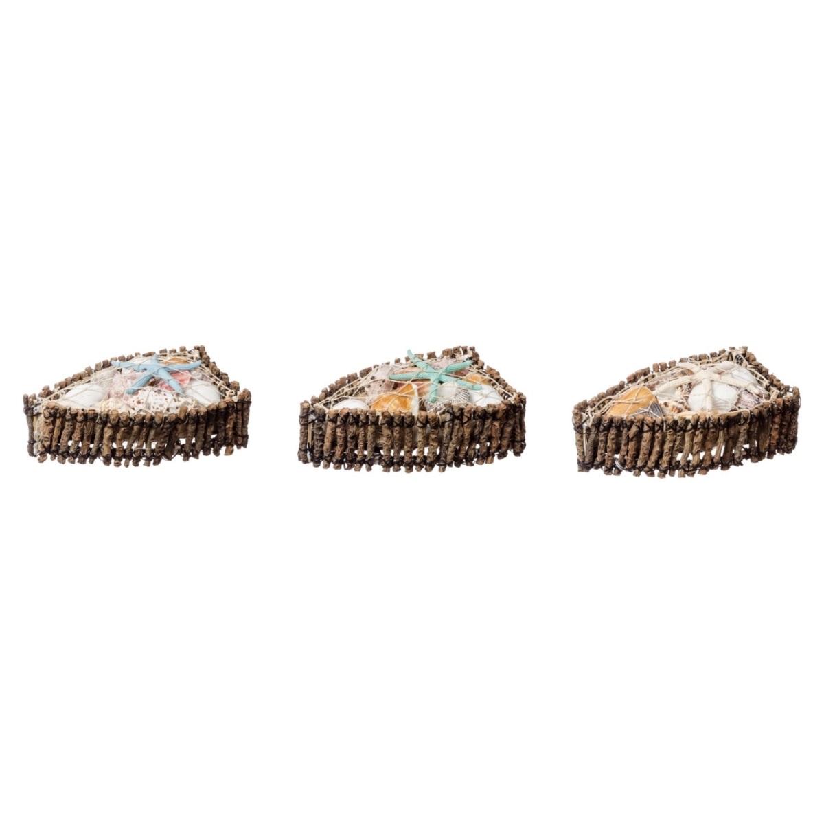 Compos.c/conchiglie18x10x5cm 57232