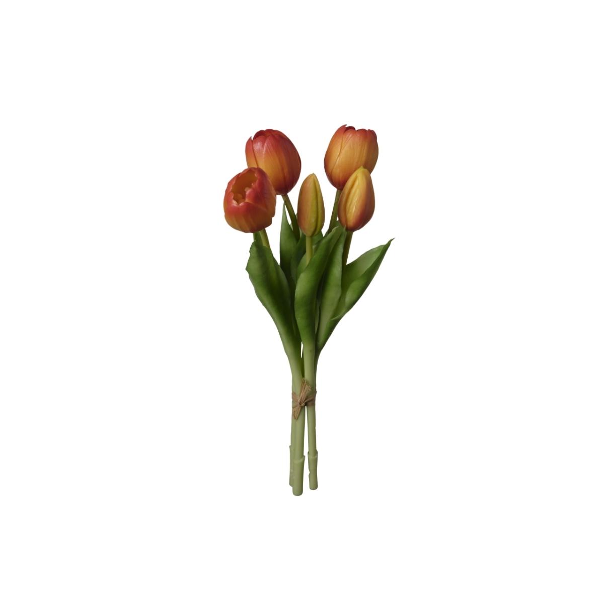 Mazzo tulipano x5 arancione 2fv2777 191