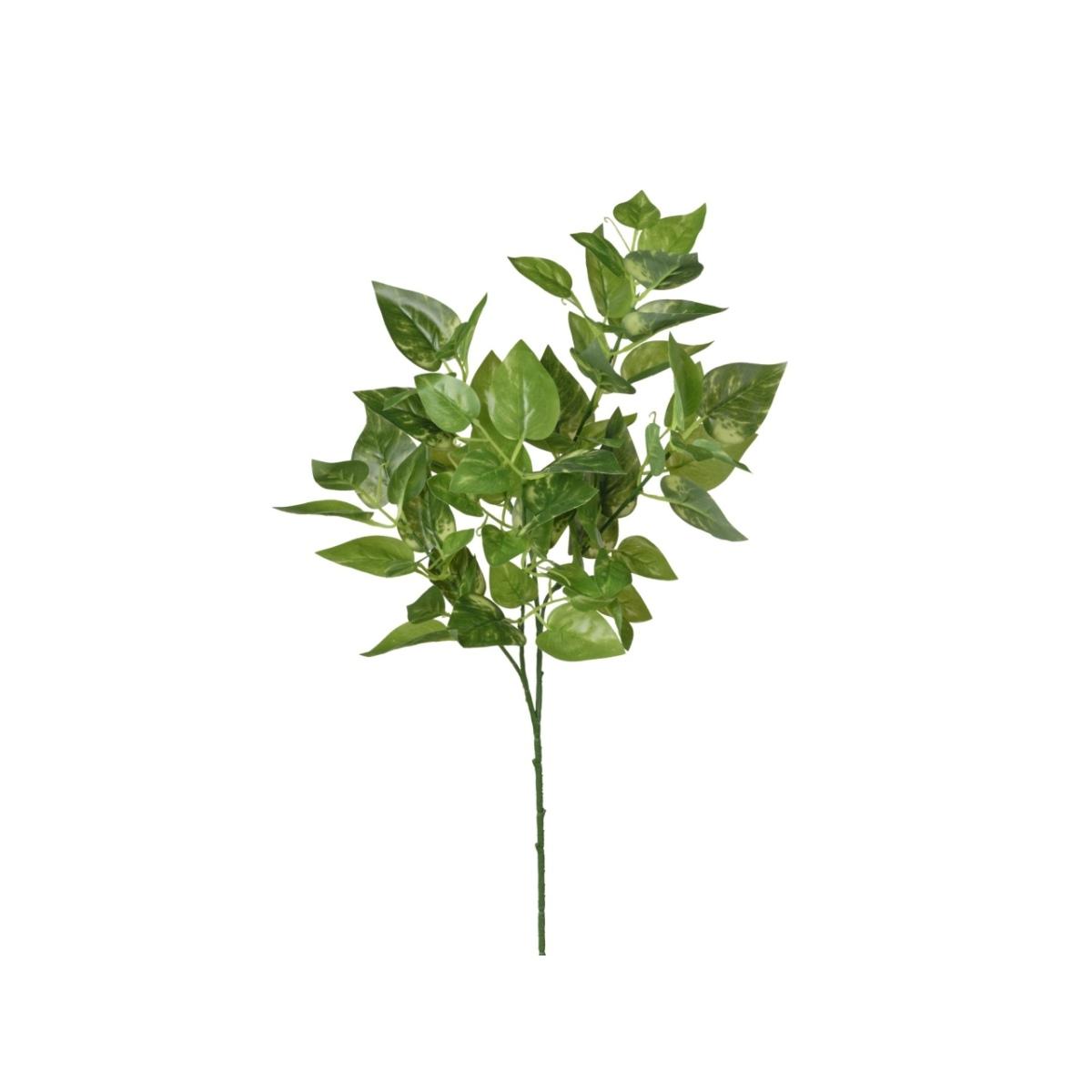 Ramo pothos 65cm 2pqd14