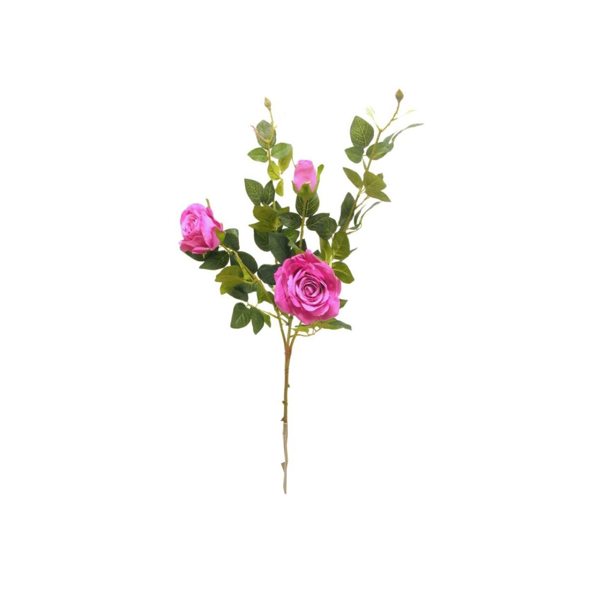 Rosa spruzzata 91cm fuxia ds003309