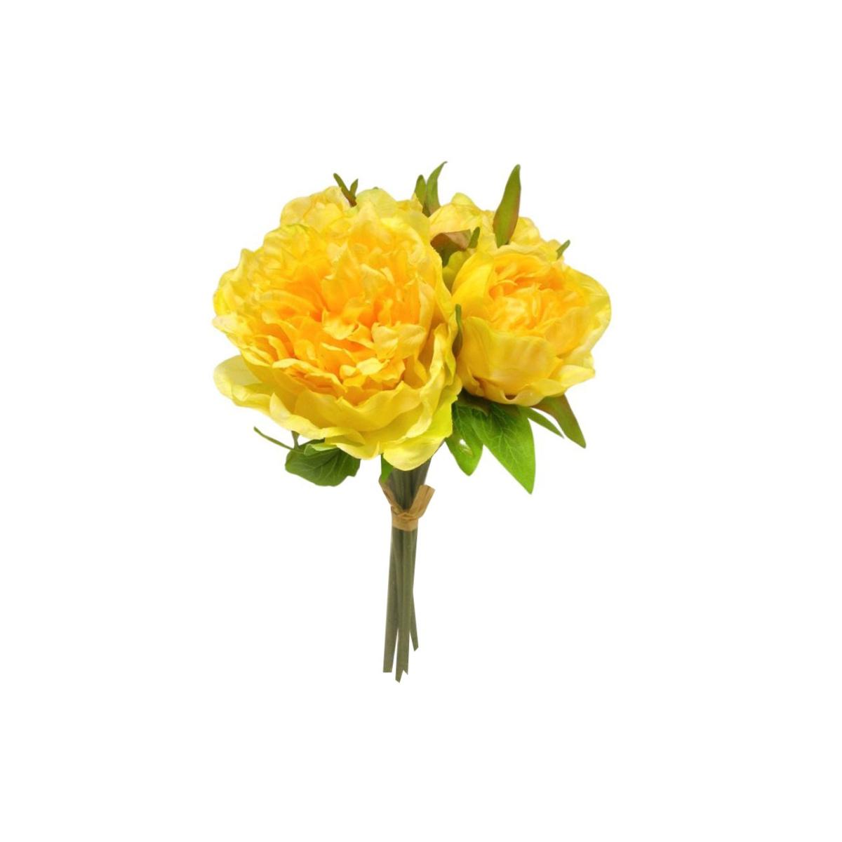 Peonia mazzo giallo ds003431