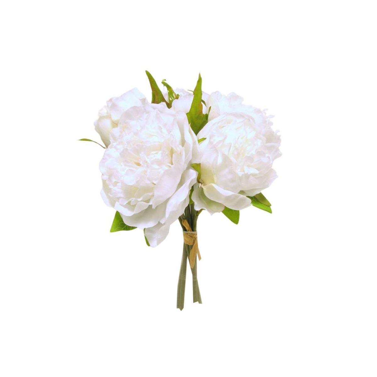 Peonia mazzo crema ds003431