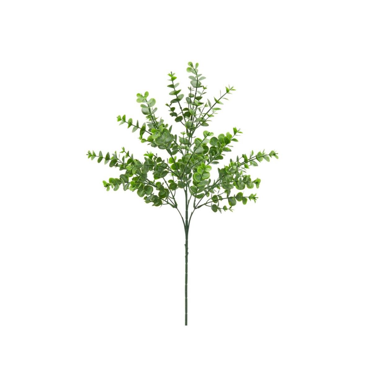 Eucalipto ramo h.63cm verde 2300124a772