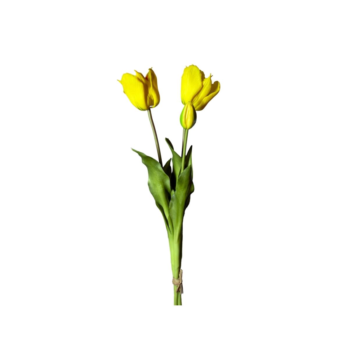 Mazzo tulipani 2 fi. gial.50cm 18120010