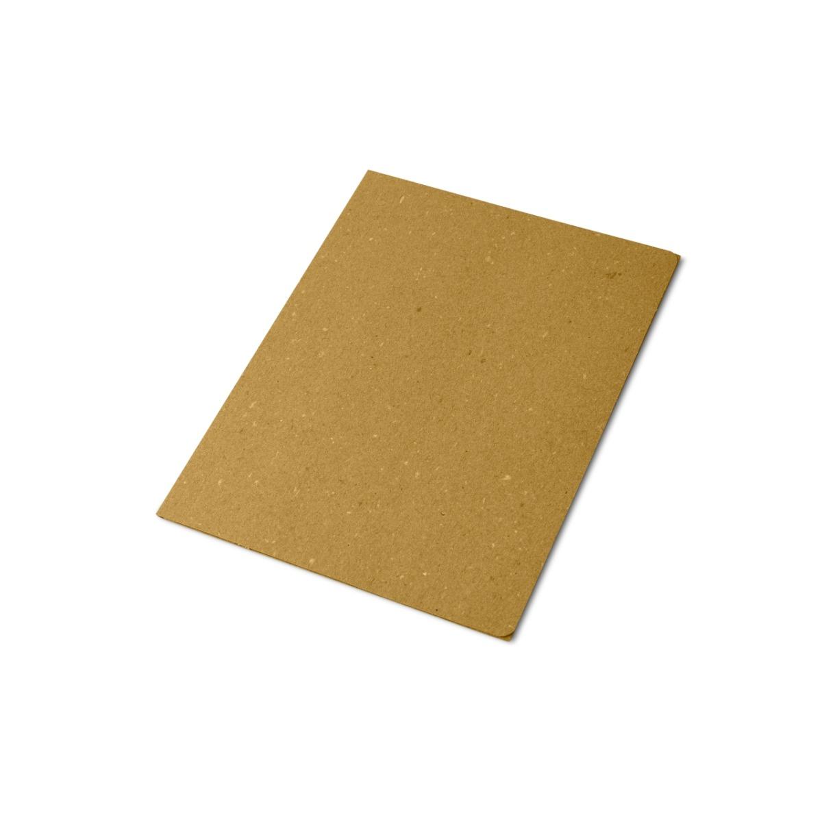 CARTELLE SEMPLICI ECO 50pz 0221803GI