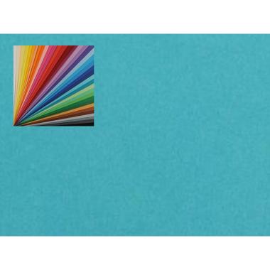 CARTONCINO COLORLINE 220gr 50x70 TURC.