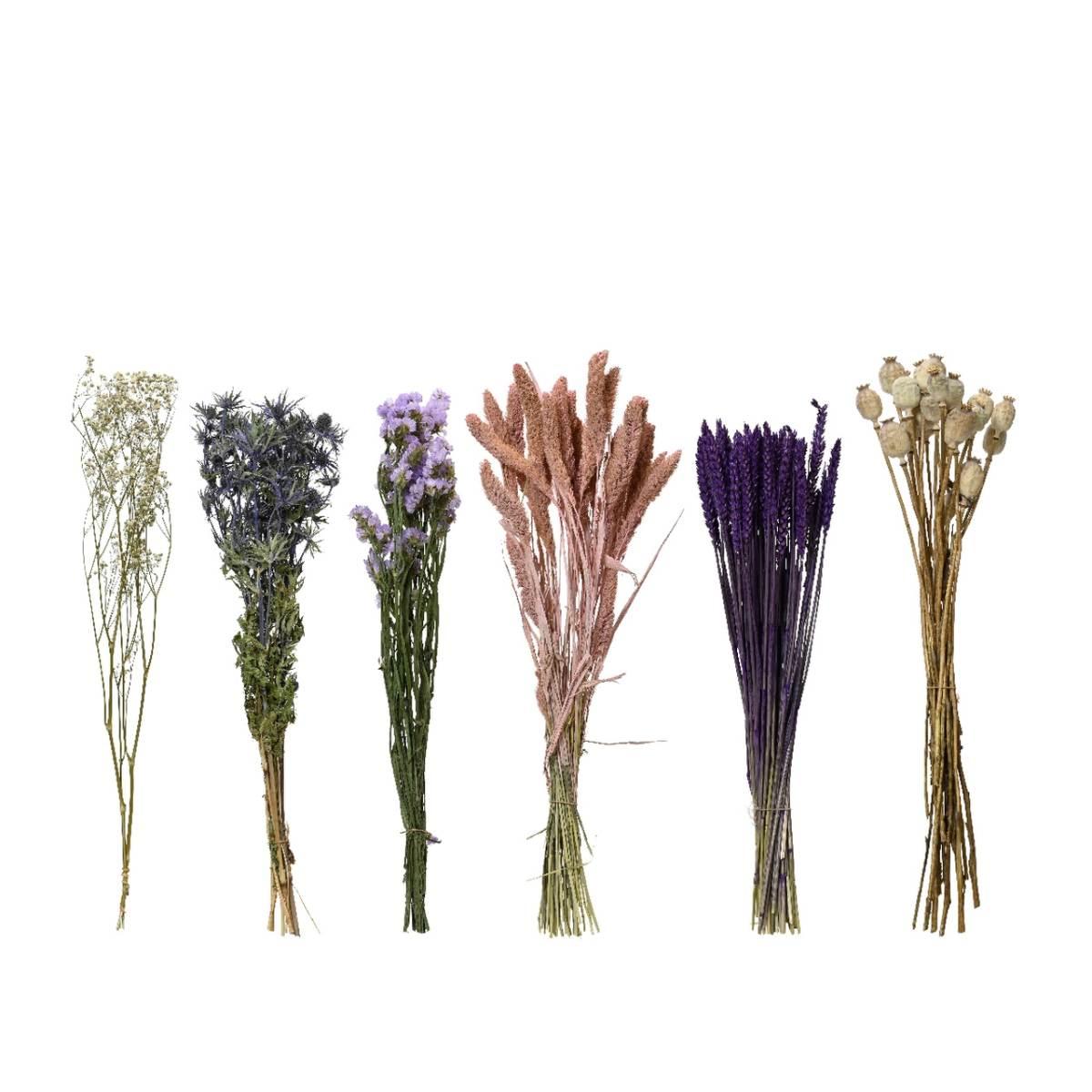 Mazzolino fiori secchi d.14xh.56 863921