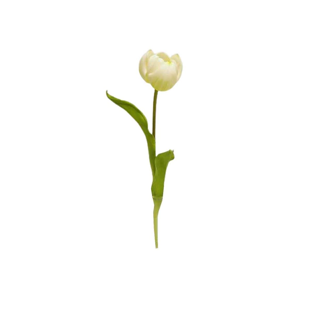 TULIPANO SPRUZ.49cm CREMA DS001932