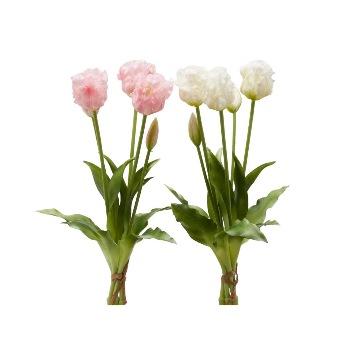 Mazzo di tulipani olis 5 pezz 216004,15
