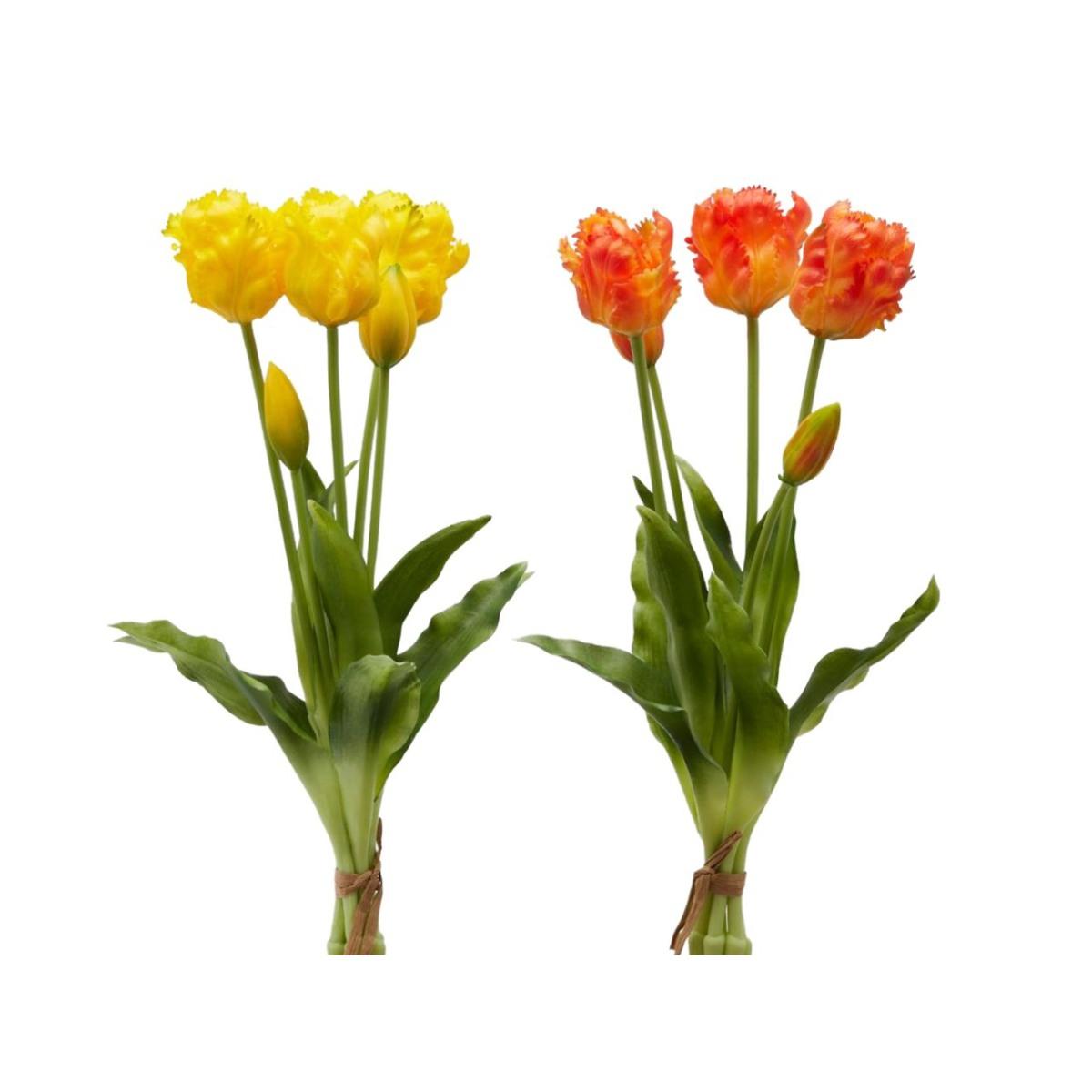 Mazzo di tulipani olis 5 pezz 216004,26