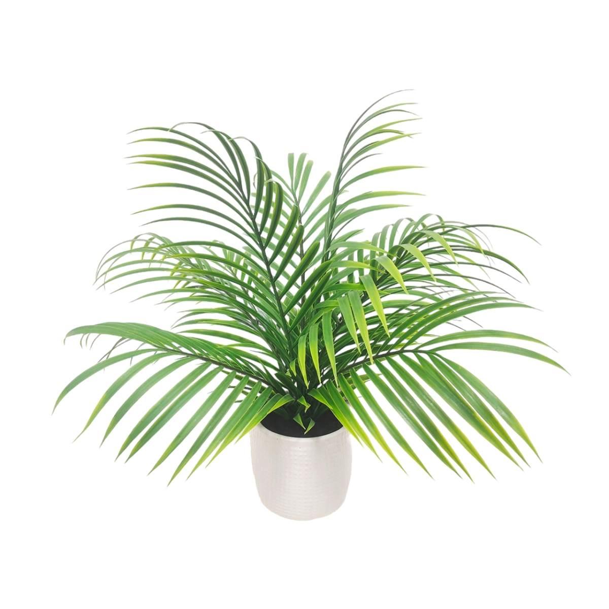 Pianta areca palma mini 46cm ds 26099