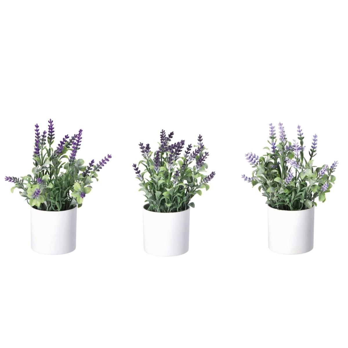 Vaso con lavanda d.8xh.25cm ass 86326